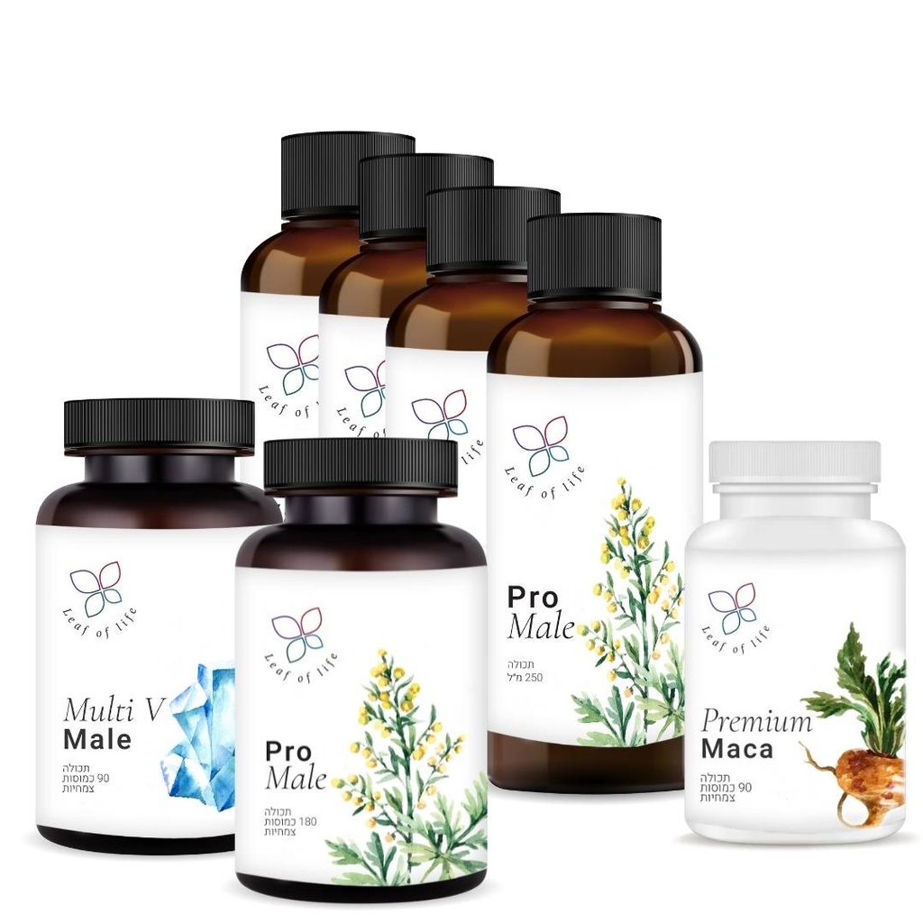 [2002] ערכה לפוריות הגבר