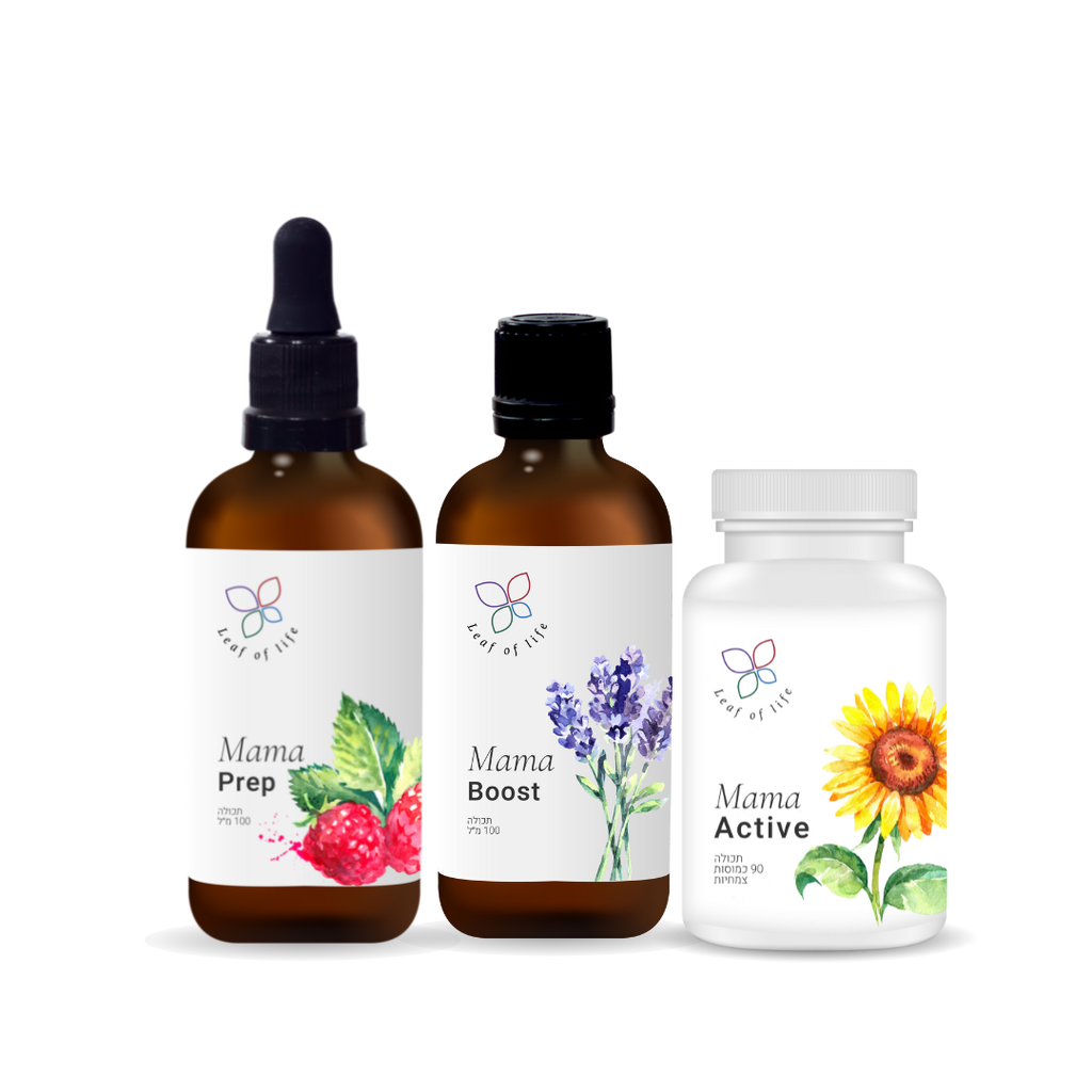 [3001] מארז לידה וחיזוק לאחר הלידה