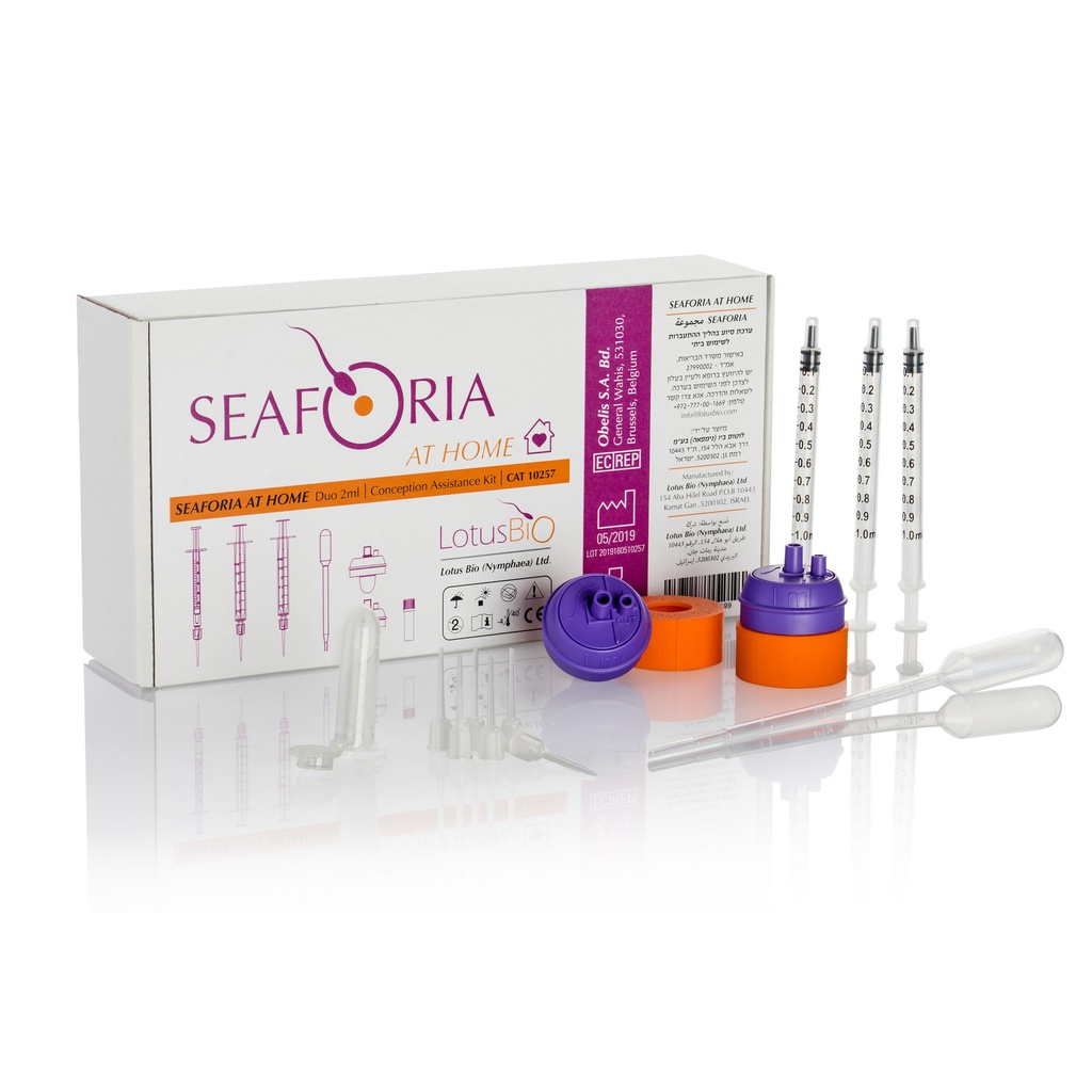 [6001] Seaforia at Home